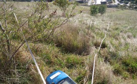 Flora Monitoring